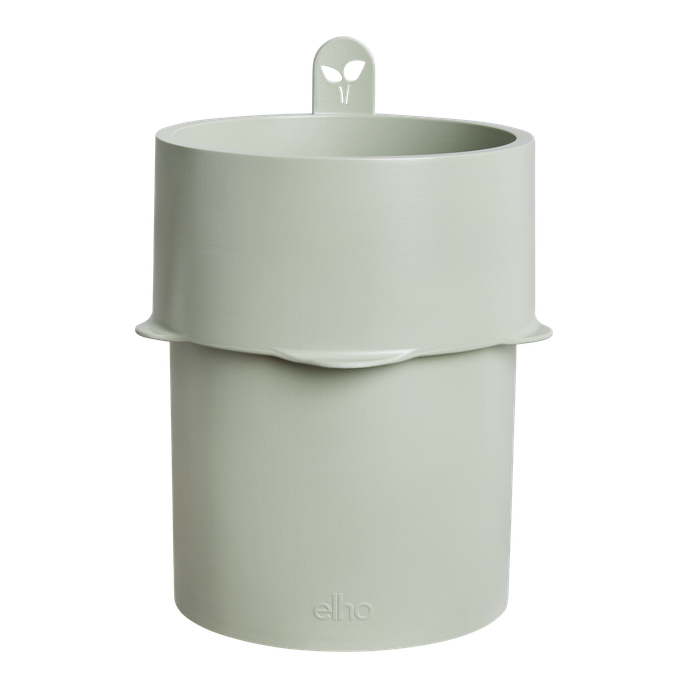 bouncy basil leaf green